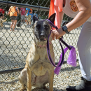 Skyla begs the reporter for treats. 
