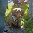 Murphy, looking very dapper for the event. 