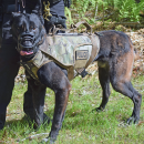 Even police dogs showed up!