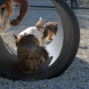 Murphy runs through a tunnel. 