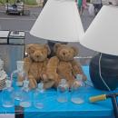 bears