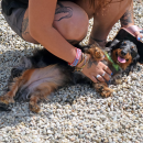 Mabel enjoys some belly rubs. 