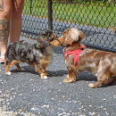 Sniffing around. 