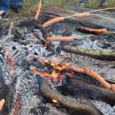 Hot dogs over the fire. 