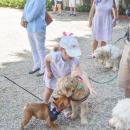 A child enjoys the seemingly endless dogs to pet. 