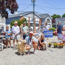 All of the winning dogs.