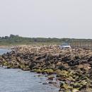 causeway
