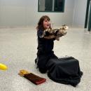 Devin Cloutier talks about her job. Source: Humane Society and Shelter Southcoast Facebook