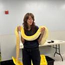 Devon Cloutier holds the snake. Source: Humane Society and Shelter Southcoast Facebook