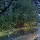 A puddle in the road. 