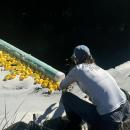 A volunteer grabs the winning ducks out of the water. 