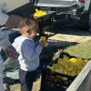 Sunniya enjoys the thousands of ducks. 