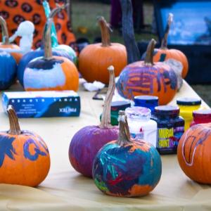 Painted pumpkins. g