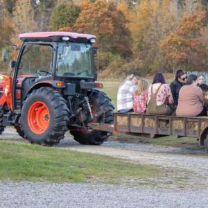 Heading out on a hay ride around the vineyard. o
