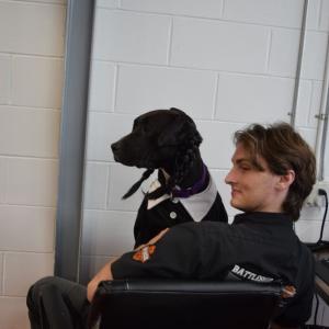 Luci sits in Sam Martin's lap.