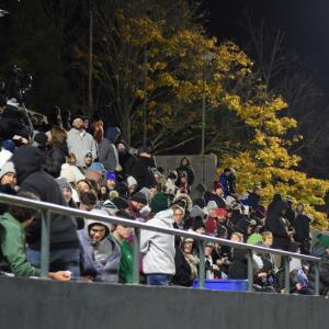 The crowd watches the game.