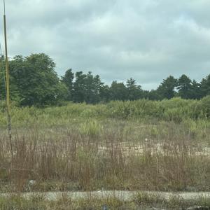 808 State Road. Photo by Kat Sheridan