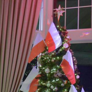 The Christmas tree. Photos by Kat Sheridan