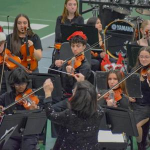 The orchestra performs.