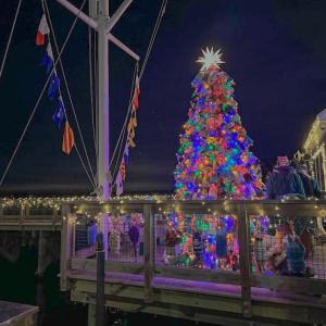 The Padanaram Buoy Tree. Photos by Kat Sheridan