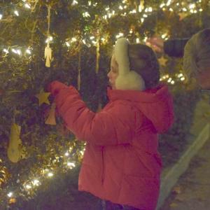 Courtney Gwozdz hangs an ornament for the Jimmy Fund. 