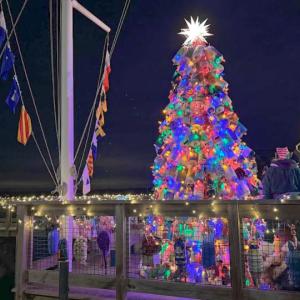 The Padanaram Buoy Tree. Photos by Kat Sheridan