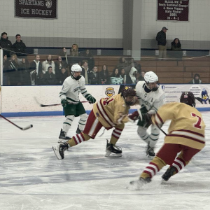 A fight for the puck.