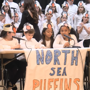 The North Sea Puffins answer trivia. Source: Dartmouth Community TV