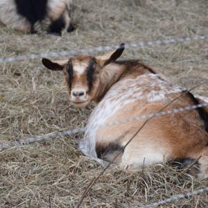 Why are you taking my picture?