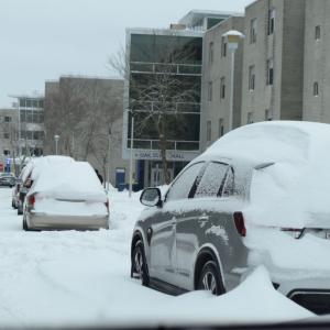 Cars snowed in at UMass Dartmouth.
