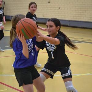 Brynn Goyette attempts to grab the ball.