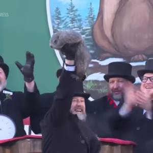 Punxsutawney Phil predicts 6 more weeks of winter. Source: AP News