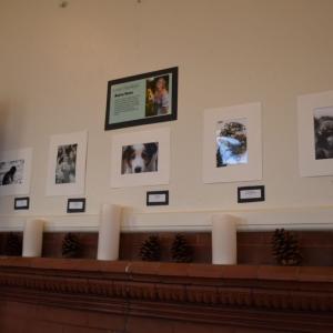 Photography by Aerro Gove.