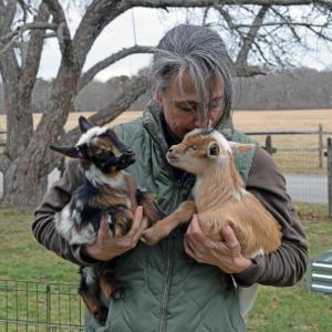 Shannon Lawrence snuggles with the baby goats. Photos by Kat Sheridan