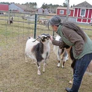 Shannon Lawrence pets one of the goats.