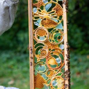 A piece by Susan Medyn. Source: Elizabeth Antonell