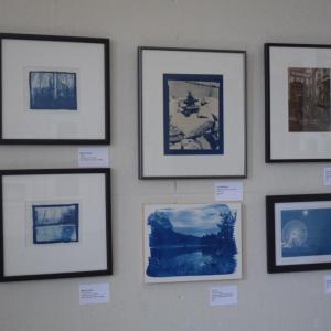 Jill Law's cyanotype pictures. 