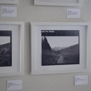 Film edited to be printed. Photos by Kat Sheridan