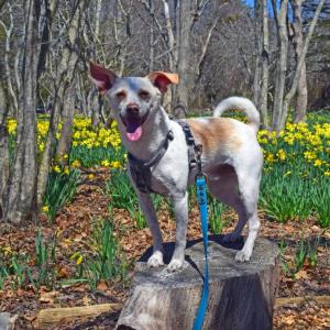 Billy poses in front of the fields. 
