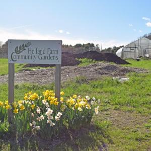 Helfand Farm. Photos by Kat Sheridan