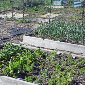 A very successful plot. 