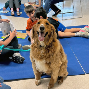 Enzo poses for a photo. 
