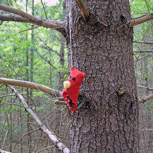 A cardinal gnome. 