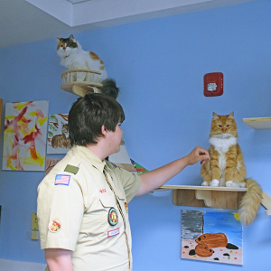 Zane Moriarty pets one of the office cats. 