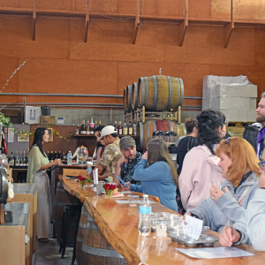 The inside of the winery. 