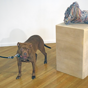 A dog discovered the joy of art. 