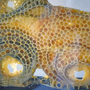 A swirl of wood with the hive. 