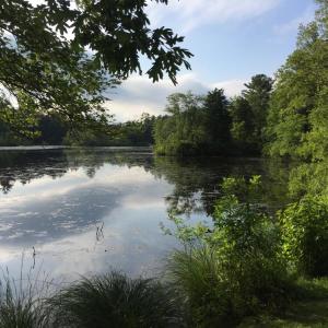 Cornell Pond. Stock photo