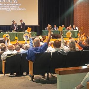 Town Meeting