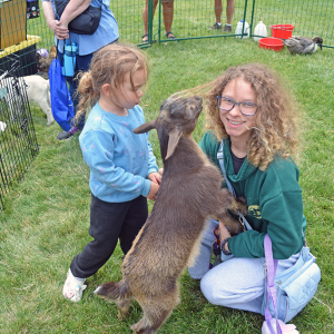 Ashley and Maliyah, age 3, pet a chewy goat. 